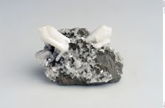 Foto von Desmin (NHMW-MIN-Ae234)